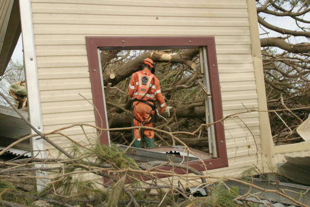 San Castle, FL Tree Care Services Company